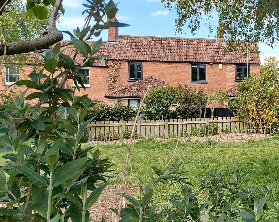 Tor Cottage, Perfectly Positioned! Glastonbury Dış mekan fotoğraf